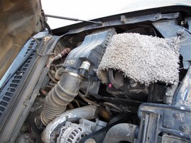 2002 Ford F-350 7.3L Turbo Diesel AT 2WD #F24759